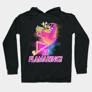 Pink Flamingo Be Flamazing Funny Flamingo Hoodie